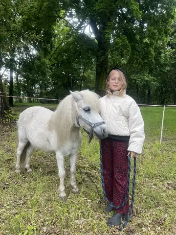 Noc Muzeów w gminie Zabrodzie