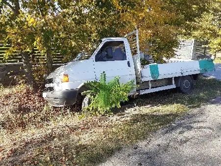 Najpierw w auto, potem w drzewo