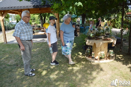 Piknikowo i ekologiczne w Starym Bosewie