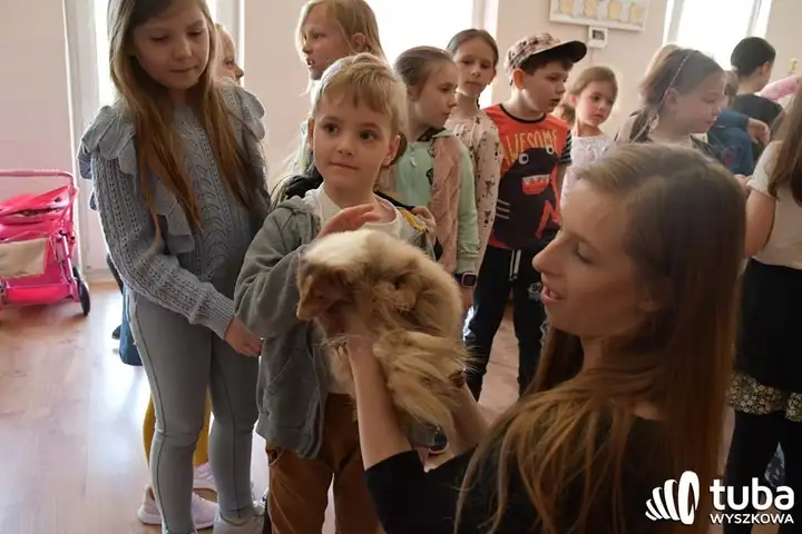 Bliskie spotkanie z dzikimi zwierzętami (VIDEO)