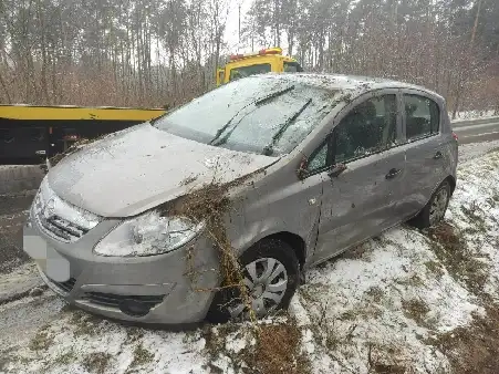 Opel dachował przez sarny na drodze