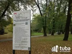 Miliony pójdą w drzewa