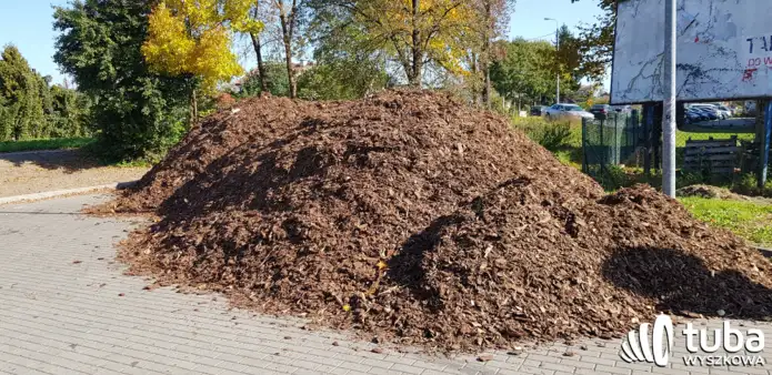 Przesadzili przy Piłsudskiego
