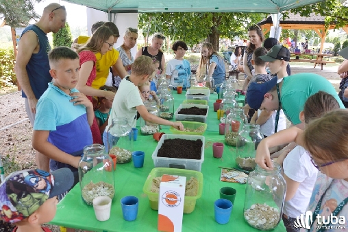 Piknikowo i ekologiczne w Starym Bosewie