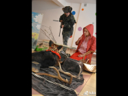 Teatr żywych zwierząt zagościł w Pracowni MADU