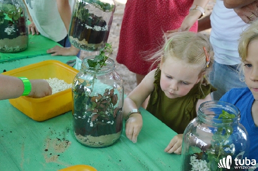 Piknikowo i ekologiczne w Starym Bosewie