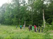Ptasie śpiewy i las o świcie - Nadleśnictwo Wyszków ogłasza konkurs