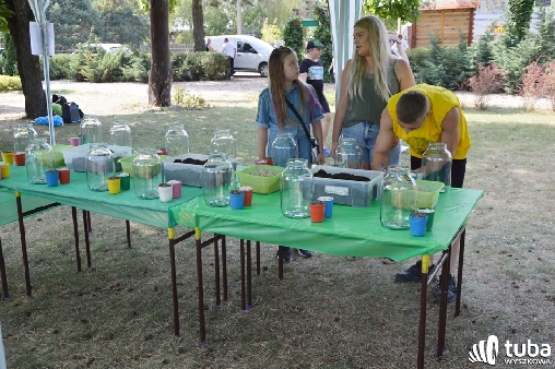 Piknikowo i ekologiczne w Starym Bosewie
