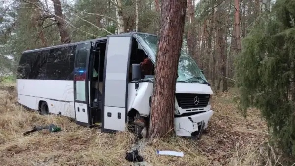 Wypadek autobusu. Dwie osoby ranne