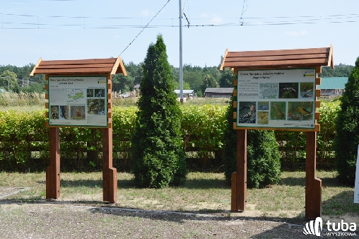 Piknikowo i ekologiczne w Starym Bosewie