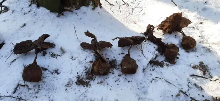 Trzynaście groźnych min