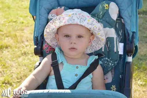 Folkowa sobota w Niegowie