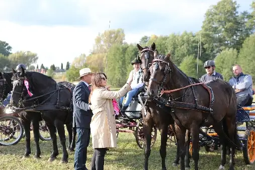 Hubertus jeździecki w Brańszczyku 