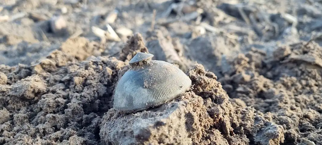 Śladami historii Rząśnika