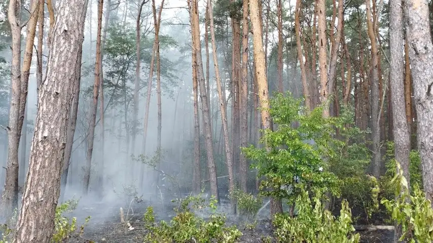 Łodzią do pożaru. Płonął las na wyspie