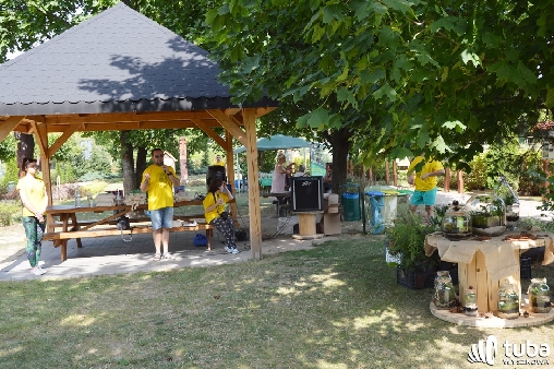 Piknikowo i ekologiczne w Starym Bosewie