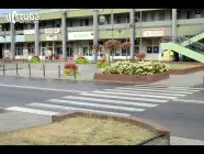 Poprawi się bezpieczeństwo pieszych na ul. Sowińskiego