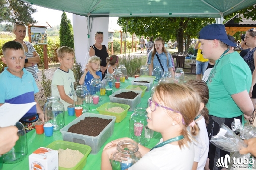 Piknikowo i ekologiczne w Starym Bosewie