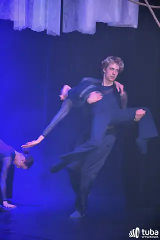 Od korzeni po konary. Jak dorastał Taneczny Deptak 